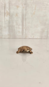 Small bronze turtle figurine with detailed shell pattern on a white background.